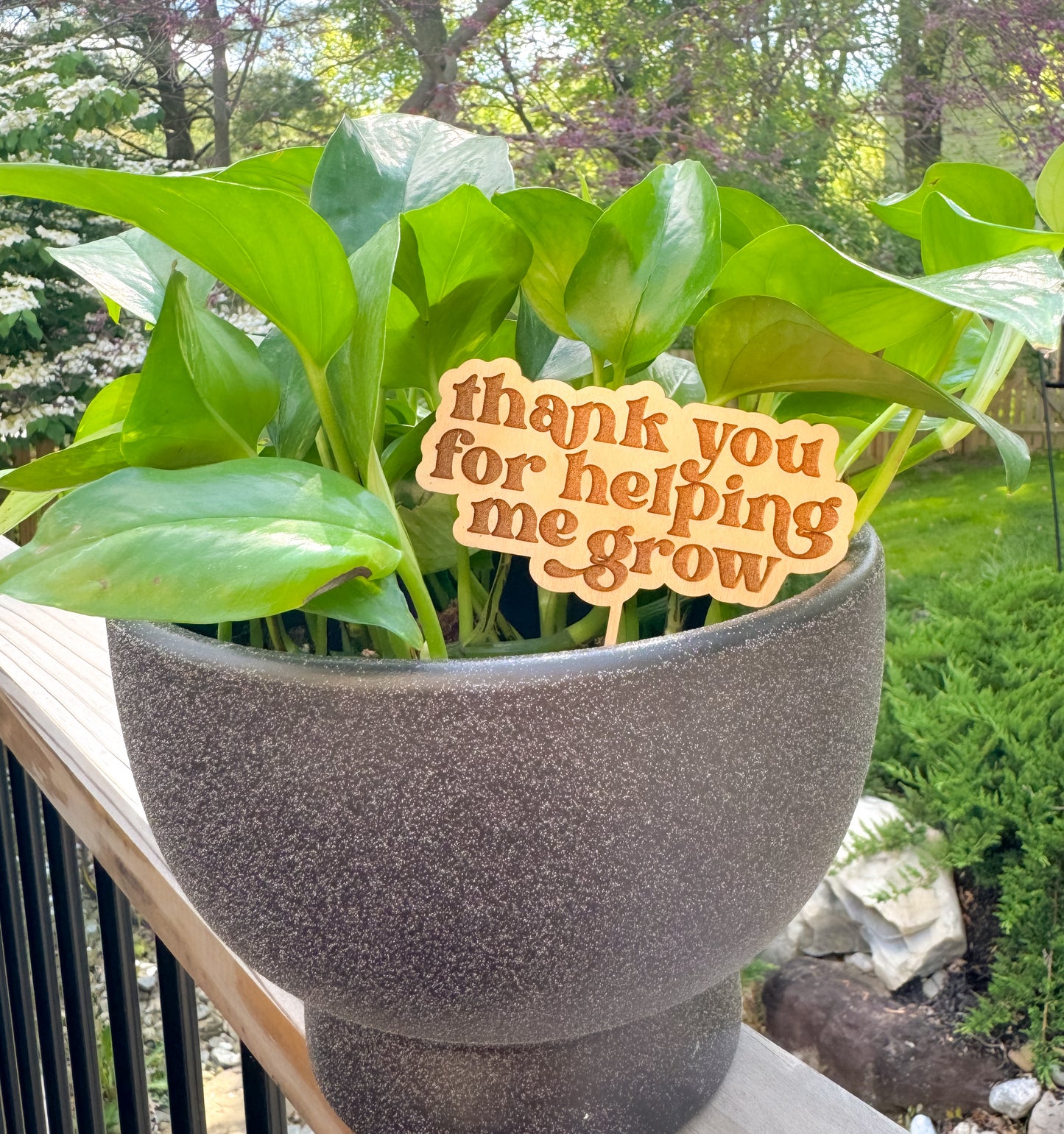 Thank You for Helping Me Grow Plant Stake